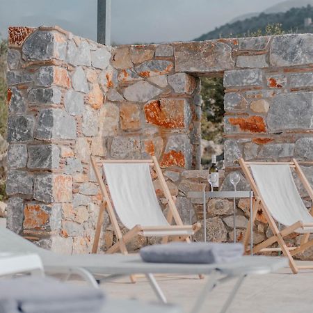 Villa Dioni Ena Πύργος Εξωτερικό φωτογραφία